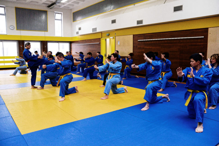 Travail de Quyen traditionnel - Stage Vovinam Paris